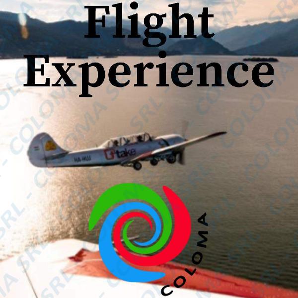 FLIGHT EXPERIENCE 