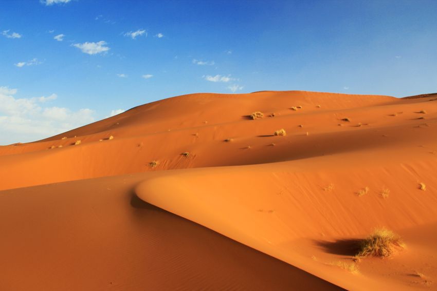 Desert Experience