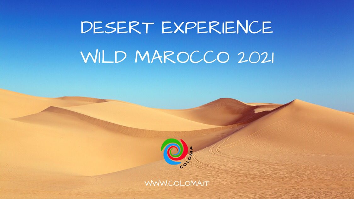 DESERT EXPERIENCE WILD MAROCCO 2021